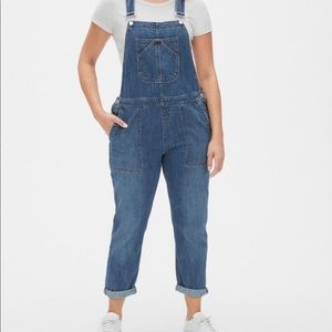 Denim Overalls